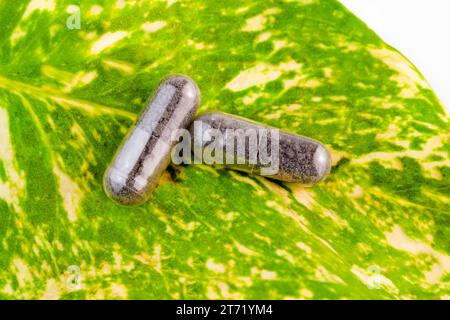 dettaglio di pillole di medicina a base di erbe su una foglia; dettaglio di pillole di medicina a base di erbe su una foglia Foto Stock