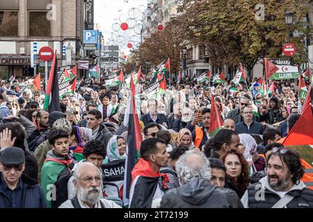 Madrid, Spagna. 11 novembre 2023. La folla di manifestanti tiene bandiere durante la manifestazione. Una massiccia manifestazione guidata dal Coordinatore di Stato delle associazioni in solidarietà con il Sahara (CEAS-Sahara) visita Madrid per chiedere l'autodeterminazione del Sahara. (Foto di Jorge Contreras Soto/SOPA Images/Sipa USA) credito: SIPA USA/Alamy Live News Foto Stock