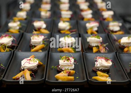 File di antipasti preparati con formaggio feta e rabarbaro con contorno di germogli disposti su piatti neri, portata del menu di una cena festiva, focus selezionato Foto Stock