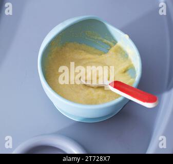 Porridge di miglio per bambini in un piatto per bambini, primo piano. Porridge di zucca senza latticini per i bambini. Foto Stock