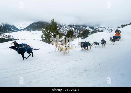 Slitta trainata da cani nei pirenei Foto Stock