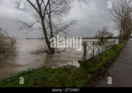 Houthulst, Belgio. 13 novembre 2023. L'immagine mostra il sito delle inondazioni a Houthulst, dopo giorni di forti piogge nella provincia delle Fiandre occidentali, lunedì 13 novembre 2023. BELGA PHOTO JAMES ARTHUR GEKIERE Credit: Belga News Agency/Alamy Live News Credit: Belga News Agency/Alamy Live News Foto Stock