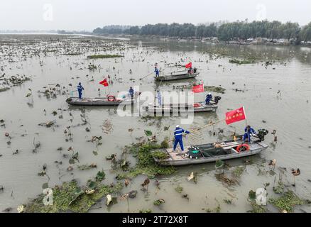 (231113) -- NANCHINO, 13 novembre 2023 (Xinhua) -- questa foto aerea scattata il 9 novembre 2023 mostra i lavoratori che sgomberano la superficie dell'acqua sul lago Baima nella città di Chahe di Huai'an, nella provincia del Jiangsu della Cina orientale. Il sistema di irrigazione del lago Hongze nella provincia orientale di Jiangsu è un'area di irrigazione per lo stoccaggio dell'acqua. Fin dalla dinastia Han orientale (25-220), gli antichi popoli hanno deviato l'acqua per l'irrigazione e l'agricoltura. Il sistema di irrigazione, che nel 2023 è stato designato Patrimonio Mondiale dell'Umanità come strutture di irrigazione (WHIS), oggi continua ad irrigare terreni agricoli. (Xinhua/Ji Chunpeng) Foto Stock