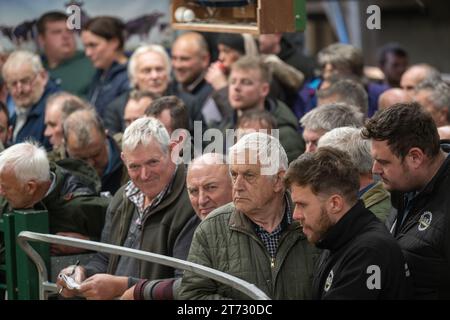 Gli agricoltori che vendevano arieti e la vendita di Leicester a The Blue Faced presso la Hawes Auction mart nel North Yorkshire, Regno Unito. Foto Stock