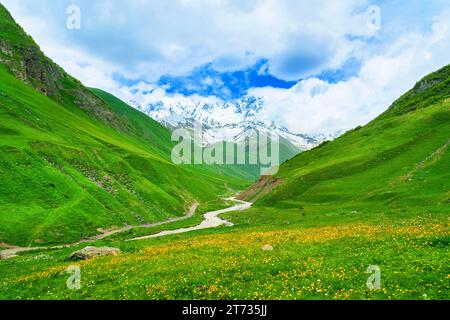 Pascolo verde e fiume Patara enguri contro la più alta montagna georgiana Shkhara vicino Ushguli in Georgia. Foto Stock