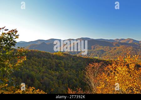 Scenario montano autunnale degli Appalachi-01 Foto Stock