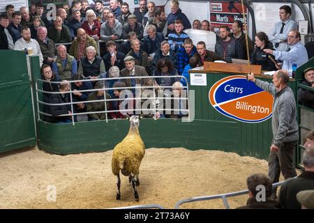 Gli agricoltori che vendevano arieti e la vendita di Leicester a The Blue Faced presso la Hawes Auction mart nel North Yorkshire, Regno Unito. Foto Stock