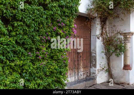 Antica porta circondata da piante e un antico pilastro nel quartiere ebraico di Cordova. Foto Stock