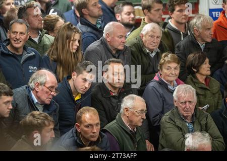 Gli agricoltori che vendevano arieti e la vendita di Leicester a The Blue Faced presso la Hawes Auction mart nel North Yorkshire, Regno Unito. Foto Stock