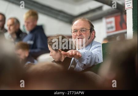 Gli agricoltori che vendevano arieti e la vendita di Leicester a The Blue Faced presso la Hawes Auction mart nel North Yorkshire, Regno Unito. Foto Stock