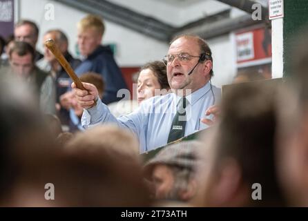 Gli agricoltori che vendevano arieti e la vendita di Leicester a The Blue Faced presso la Hawes Auction mart nel North Yorkshire, Regno Unito. Foto Stock