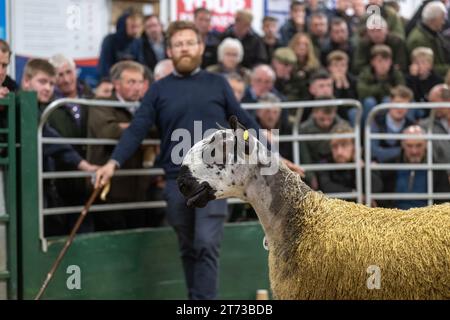 Gli agricoltori che vendevano arieti e la vendita di Leicester a The Blue Faced presso la Hawes Auction mart nel North Yorkshire, Regno Unito. Foto Stock