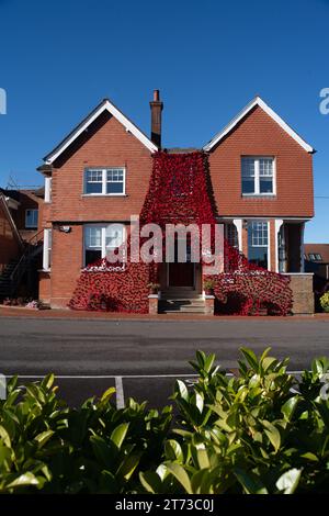 Amersham, Regno Unito. 11 novembre 2023. Un'enorme esposizione di papaveri alla Beacon School di Amersham, nel Buckinghamshire, realizzata da allievi della scuola per il giorno dell'armistizio e la domenica della memoria. Gli allievi della Beacon School hanno realizzato l'esposizione all'aperto utilizzando più di 3.000 papaveri singoli. Il progetto è stato avviato dal capo dell'arte della scuola Michelle Jackson come simbolo per commemorare le forze armate e le loro famiglie. Credito: Maureen McLean/Alamy Foto Stock