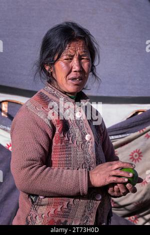 Ritratto di una donna nomade Changpa, Ladakh, India Foto Stock