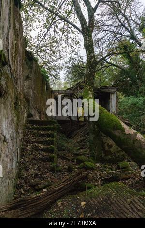 Antiche rovine abbandonate catturate dalla natura in Galizia, Spagna Foto Stock