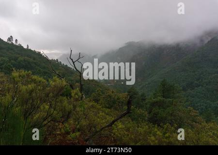 Paesaggio autunnale temperato a foglia larga e foresta mista nelle montagne del Parco Nazionale Peneda-Geres, Vilar da Veiga, Portogallo Foto Stock