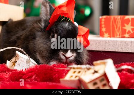 Divertente coniglietto di Natale tra i regali della vigilia di Natale Foto Stock