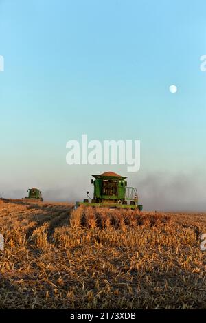 John Deere combina STS 9670, rotore a proiettile, raccolta di Sorgo per cereali "Sorghum vulgare", noto anche come milo o miglio, sole che tramonta, luna che sorge Foto Stock