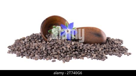 Semi di borragine con fiori in cucchiaio di legno, isolati su sfondo bianco. Borago officinalis semi e fiori. Foto Stock