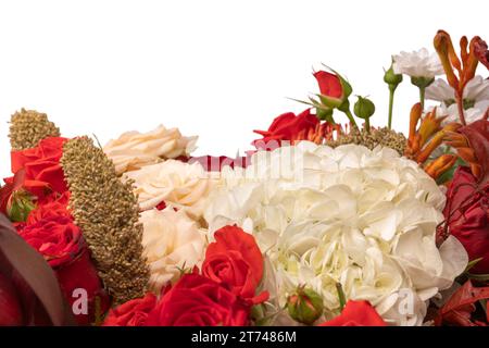 Bouquet autunnale di rose rosse e bianche, ortensie, crisantemi isolati su sfondo bianco. Foto Stock