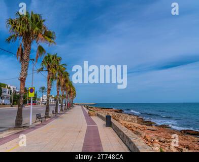 Passeggiata Alcossebre Spagna con palme tra la città e la spiaggia di Platja de les Fonts Foto Stock