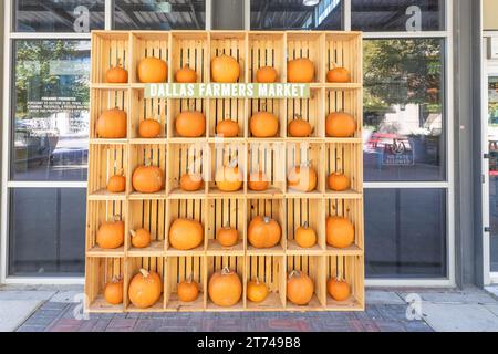 Dallas, Stati Uniti - 7 novembre 2023: Pumkins colorati e maturi allestiti presso il Farmers Market di Dallas, Stati Uniti Foto Stock