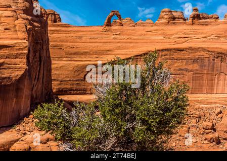 Delicate Arch visto dal punto panoramico superiore di delicate Arch nell'Arches National Park, Moab, Utah in primavera Foto Stock