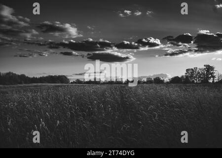 Bella foto in bianco e nero di un bel cielo e campi erbosi Foto Stock