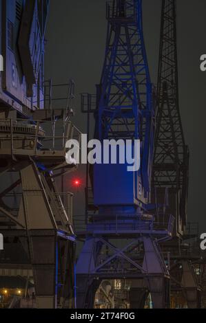 Le gru illuminate lungo il lungomare di fronte al M-Shed nel bacino di Cumberland, Bristol Docks, Bristol, Somerset, Inghilterra, REGNO UNITO Foto Stock