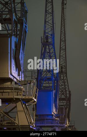 Le gru illuminate lungo il lungomare di fronte al M-Shed nel bacino di Cumberland, Bristol Docks, Bristol, Somerset, Inghilterra, REGNO UNITO Foto Stock