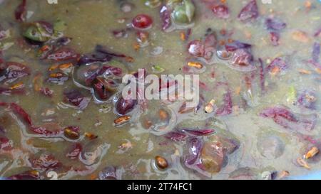 primo piano del mosto d’uva nella fase di fermentazione intervallato da semi e torta, liquame umido di succo d’uva da bacche intere per la preparazione del vino Foto Stock