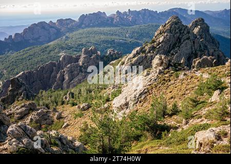 Aiguilles de Bavella da bocca di u Pargulu, GR20, Corsica, Francia Foto Stock