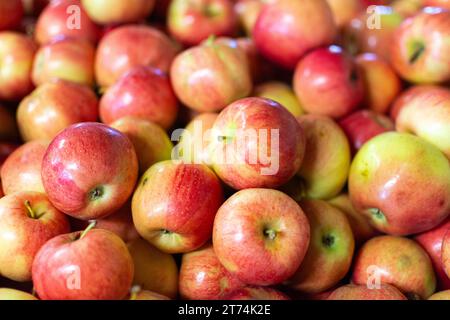 Dettaglio di un bushel di mele rosse mature in esposizione sul mercato. Foto Stock