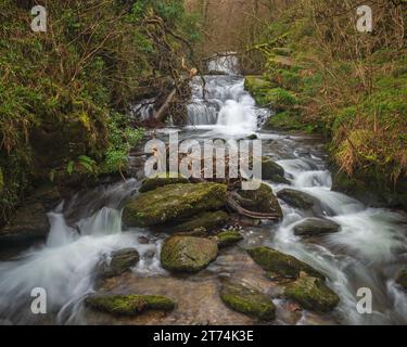 Acqua fluente veloce sui fiumi presso National Trusts Watersmeet nel Devon settentrionale, Devon, Inghilterra, Regno Unito. Parte del Parco Nazionale di Exmoor. Foto Stock