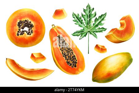 Composizione dolce matura ad acquerello con fette, mezza papaya, melone, mango e foglie. Realistico e gustoso pennarello disegnato a mano di esotici colori tropicali Foto Stock