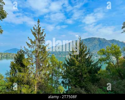 Vista panoramica con la cima dell'albero sul Lago di Lugano e la montagna con cielo blu e nuvole nella giornata di sole a Caslano, Ticino, Svizzera Foto Stock