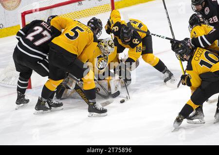 Il portiere Kaidan Mbereko del Colorado College fa un risparmio durante una partita di hockey al college. Robson Arena, Colorado College Campus, Colorado College Campus, Colorado. Springs, Colorado Foto Stock