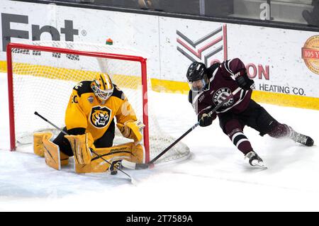 Il portiere Kaidan Mbereko del Colorado College fa un risparmio durante una partita di hockey al college. Robson Arena, Colorado College Campus, Colorado College Campus, Colorado. Springs, Colorado Foto Stock