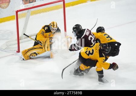 Il portiere Kaidan Mbereko del Colorado College fa un risparmio durante una partita di hockey al college. Robson Arena, Colorado College Campus, Colorado College Campus, Colorado. Springs, Colorado Foto Stock