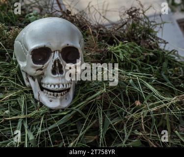 Orribile ornamento in plastica per teschio collocato in un giardino erboso, perfetto per i disegni a tema Halloween Foto Stock