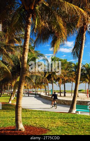 Un uomo adulto fa un giro in bicicletta al Lummus Park, situato vicino alla spiaggia di Miami Beach, Florida Foto Stock