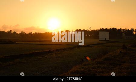 Tramonto sulle risaie nella campagna indonesiana Foto Stock