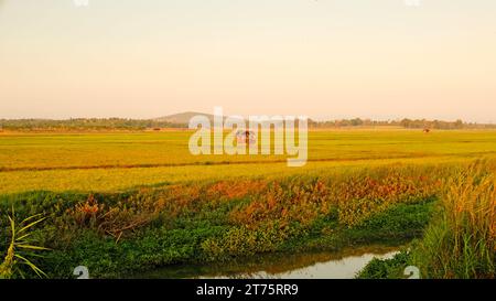 Tramonto sulle risaie nella campagna indonesiana Foto Stock