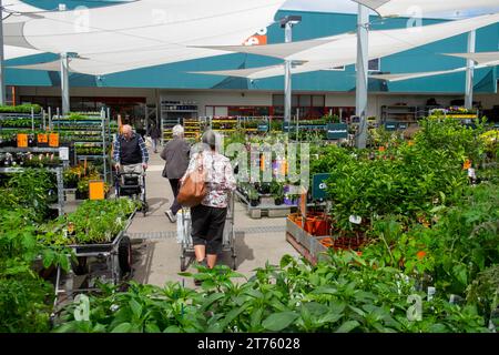 Donna di mezza età che acquista piante in un centro giardino Bunnings in Australia Foto Stock