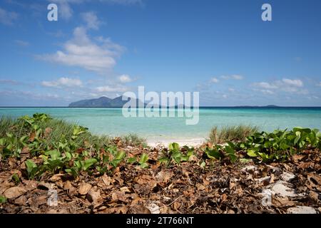 Splendido paesaggio di una soleggiata spiaggia tropicale Foto Stock