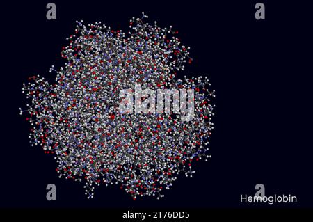 Emoglobina emoglobina, molecola Hb o Hgb. E' proteina del sangue. Modello molecolare. Rendering 3D. Illustrazione Foto Stock