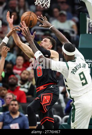 Milwaukee, USA. 13 novembre 2023. Zach LaVine (L) dei Chicago Bulls si arrende durante la partita di regular season NBA 2023-2024 tra Milwaukee Bucks e Chicago Bulls a Milwaukee, negli Stati Uniti, il 13 novembre 2023. Crediti: Joel Lerner/Xinhua/Alamy Live News Foto Stock