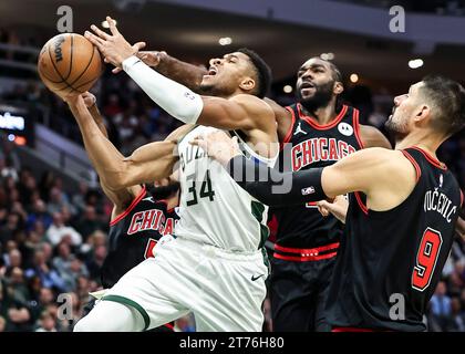 Milwaukee, USA. 13 novembre 2023. Giannis Antetokounmpo (L, davanti) dei Milwaukee Bucks va per un lay-up durante la partita della stagione regolare NBA 2023-2024 tra Milwaukee Bucks e Chicago Bulls a Milwaukee, negli Stati Uniti, il 13 novembre 2023. Crediti: Joel Lerner/Xinhua/Alamy Live News Foto Stock