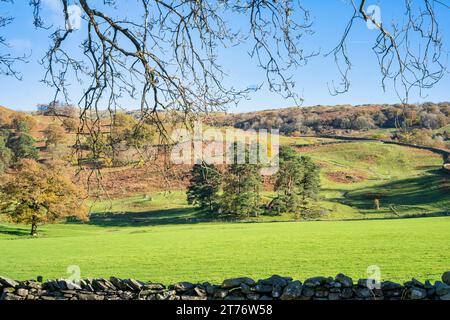 Paesaggio autunnale di Rydal, nell'area Lake District della Cumbria, Regno Unito. Foto Stock