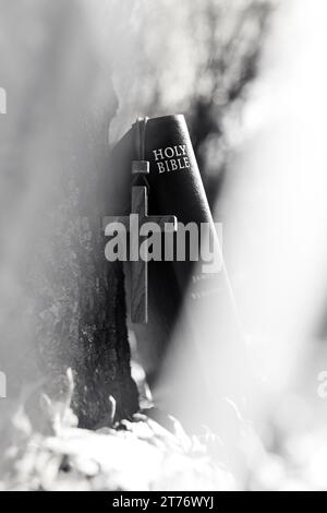 Paesaggio autunnale con luci accese, foglie cadute, foglie di acero rosso e la Santa croce di Gesù Cristo e della Bibbia Foto Stock